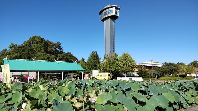 埼玉県行田市の旅行で訪れた観光名所、展望タワー