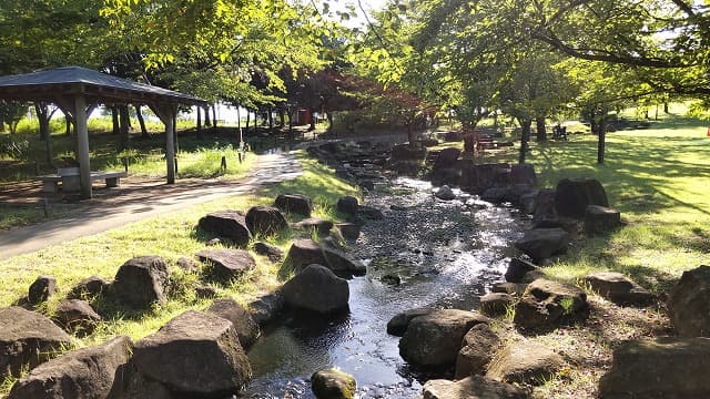 埼玉県行田市の旅行で訪れた観光名所、古代蓮の里のお花見広場