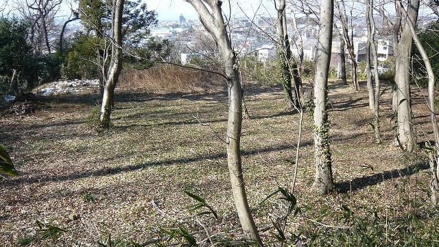 埼玉県比企郡の旅行で訪れた観光名所、武蔵松山城の兵糧曲輪