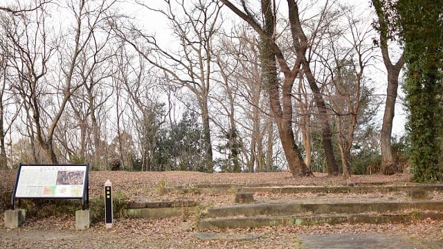 埼玉県の城＿松山城