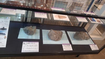 千葉県銚子市の旅行で訪れた観光名所、発見された化石