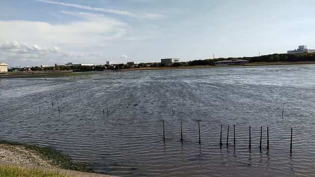 千葉県習志野市の旅行で訪れた観光名所、谷津干潟公園