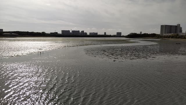 千葉県習志野市の旅行で訪れた観光名所、谷津干潟公園