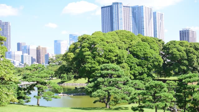 東京都中央区の浜離宮恩賜庭園公園