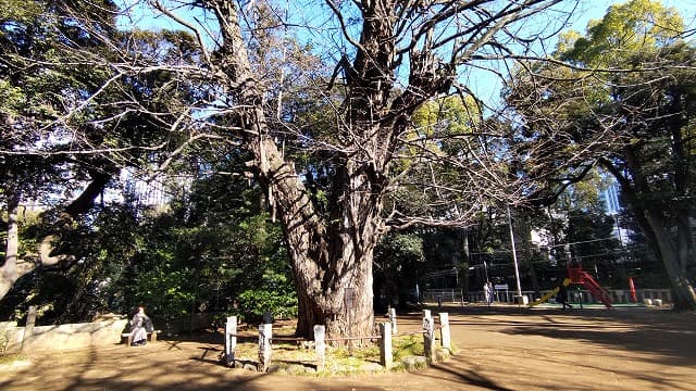 東京都港区の赤坂氷川神社