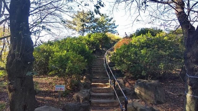 東京都新宿区の戸山公園