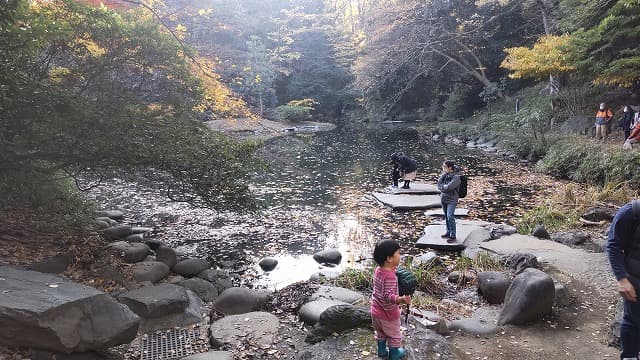 東京都文京区の旅行で訪れた観光名所、育徳園心字池 (三四郎池)