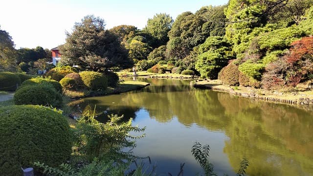 東京都文京区の旅行で訪れた観光名所、小石川植物園