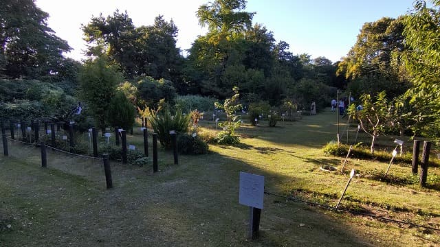 東京都文京区の旅行で訪れた観光名所、小石川植物園