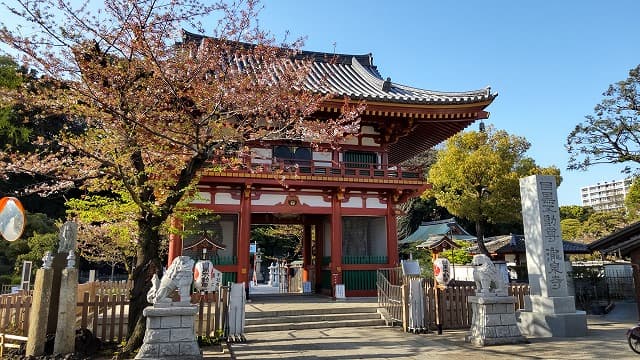 東京都目黒区の瀧泉寺（目黒不動尊）仁王門