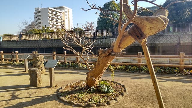 東京都中野区の旅行で訪れた観光名所、哲学堂公園の唯物園