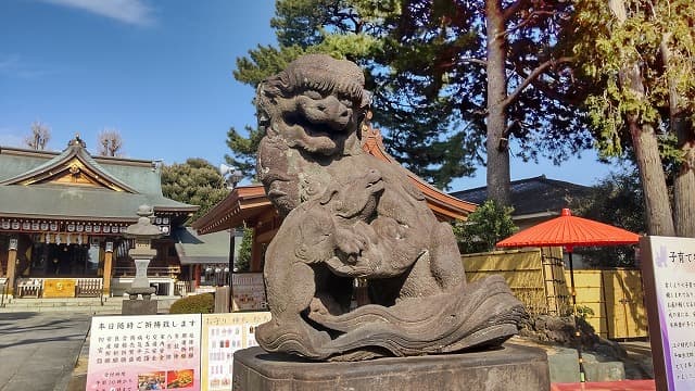 東京都中野区の旅行で訪れた観光名所、沼袋氷川神社の子育て狛犬