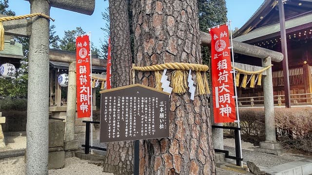 東京都中野区の旅行で訪れた観光名所、沼袋氷川神社の三本願い松