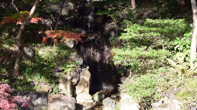 東京都北区の旧古河庭園の大滝