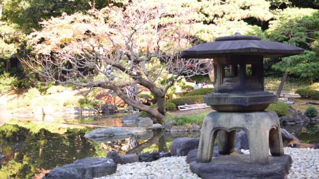 東京都北区の旧古河庭園の日本庭園