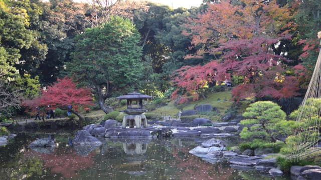 東京都北区の旧古河庭園の日本庭園