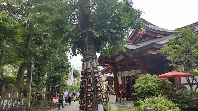 東京都荒川区の天王社の大銀杏