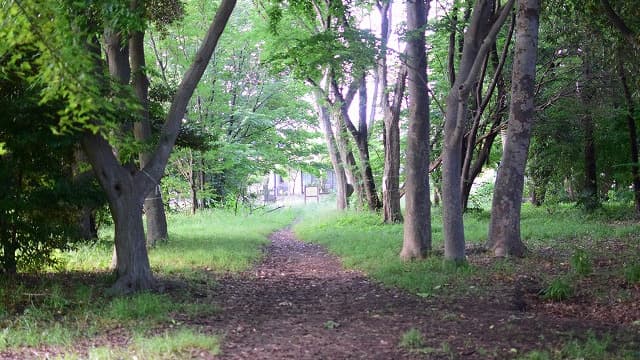 東京都調布市の下布田遺跡