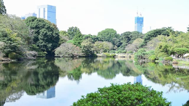 観光名所、旅行先、新宿御苑