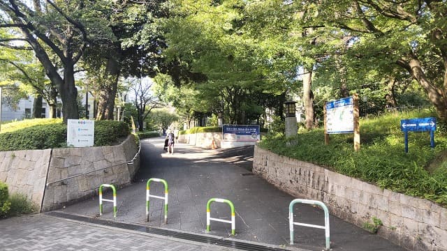 観光名所、旅行先の飛鳥山公園