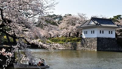 神奈川県小田原市の旅行で訪れた観光名所、小田原城隅櫓