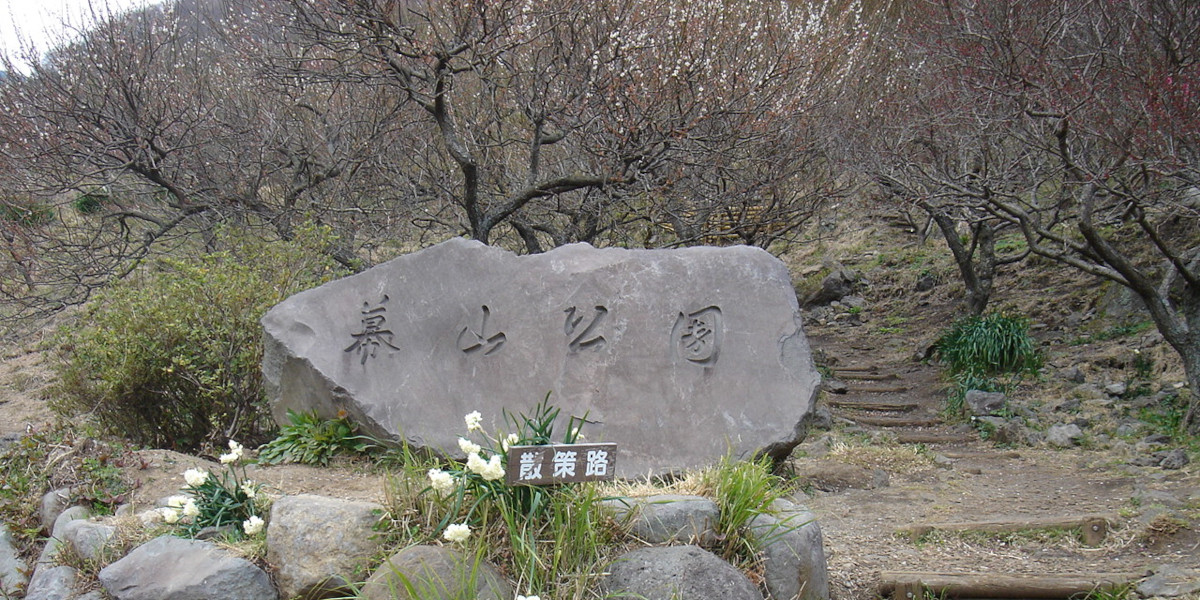 神奈川県足柄下郡の旅行で訪れた観光名所、幕山公園（湯河原梅林）