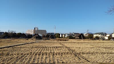 静岡県静岡市の旅行で訪れた観光名所、登呂遺跡水田跡