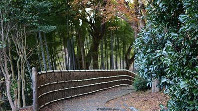 静岡県浜松市の旅行で訪れた観光名所、遊歩道