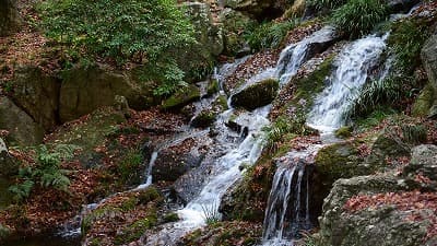 静岡県浜松市の旅行で訪れた観光名所、滑滝