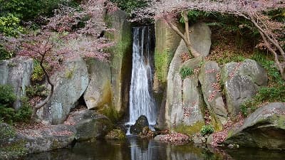 静岡県浜松市の旅行で訪れた観光名所、大滝