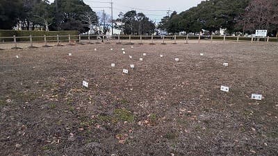 静岡県浜松市の旅行で訪れた観光名所、蜆塚遺跡