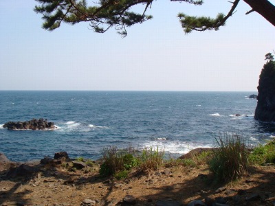 静岡県伊東市の旅行で訪れた観光名所、城ヶ崎海岸