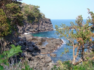 静岡県伊東市の旅行で訪れた観光名所、城ヶ崎海岸