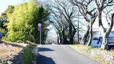 静岡県島田市の旅行で訪れた観光名所、島田大堤