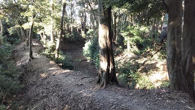 静岡県伊豆市の旅行で訪れた観光名所、能満寺山公園（小山城）三重堀