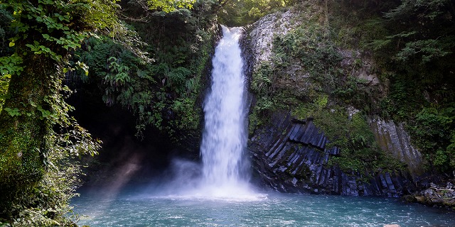 静岡県の旅行で訪れた観光名所、浄蓮の滝