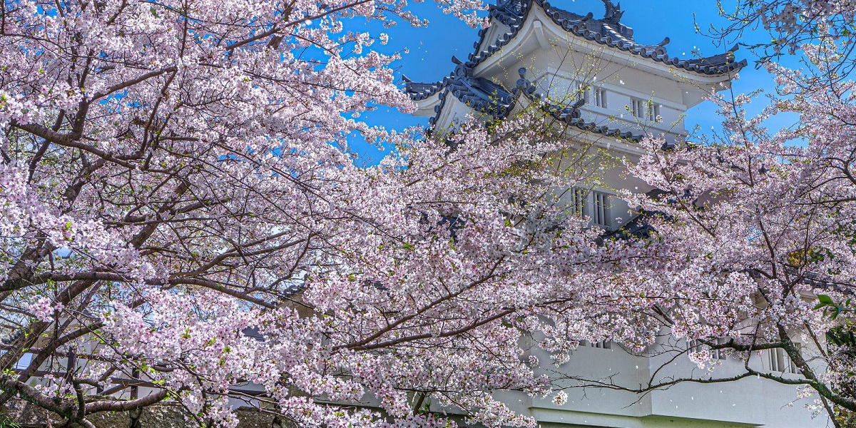 三重県津市の旅行で訪れた観光名所、津城