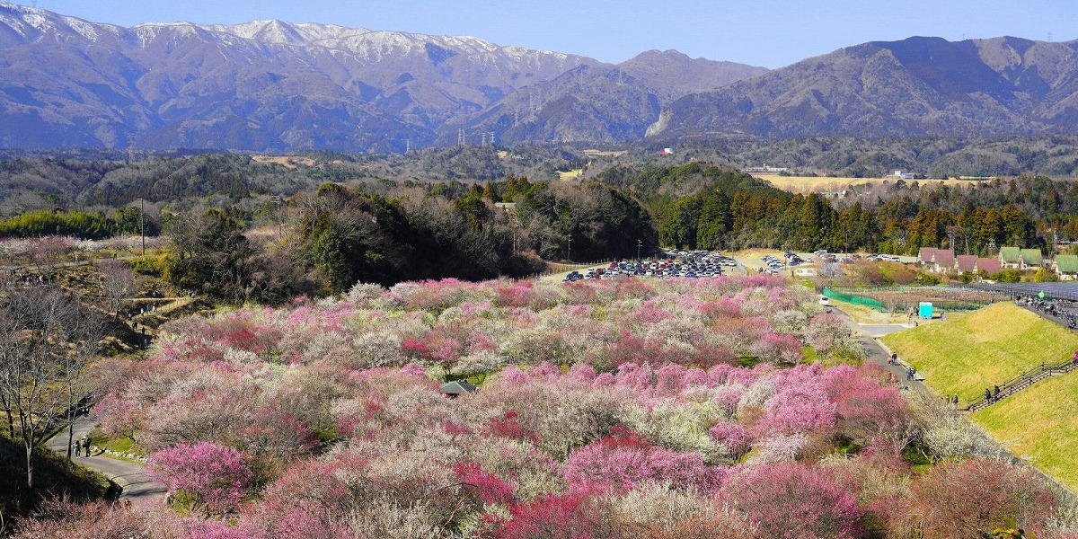 三重県いなべ市の旅行で訪れた観光名所、いなべ市農業公園