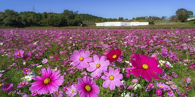 三重県津市の旅行で訪れた観光名所、とことめの里