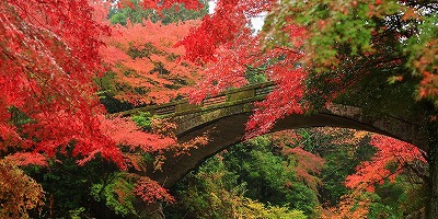 三重県津市の旅行で訪れた観光名所、河内渓谷