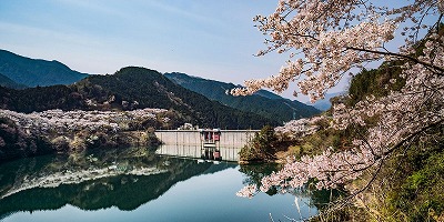 三重県津市の旅行で訪れた観光名所、君ヶ野ダム