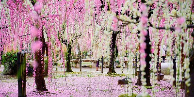 三重県津市の旅行で訪れた観光名所、結城神社