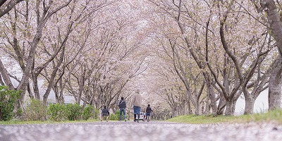 三重県津市の旅行で訪れた観光名所、北神山花街道