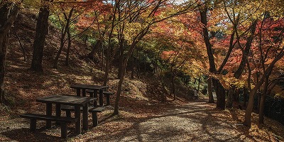 三重県四日市市の旅行で訪れた観光名所、水沢もみじ谷