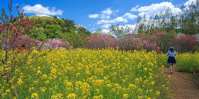 三重県伊勢市の旅行で訪れた観光名所、サンアリーナ