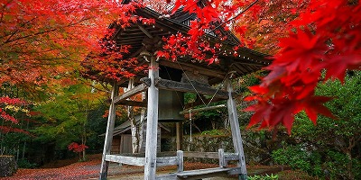 三重県松坂市の旅行で訪れた観光名所、天開山泰運寺