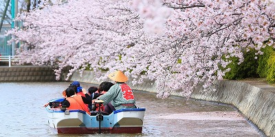 三重県桑名市の旅行で訪れた観光名所、九華公園