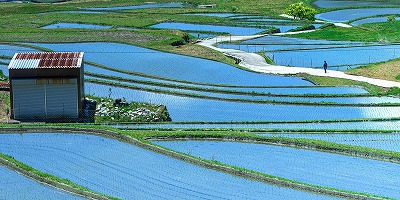 三重県津市の旅行で訪れた観光名所、坂本の棚田