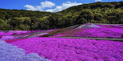 三重県志摩市の旅行で訪れた観光名所、志摩市観光農園