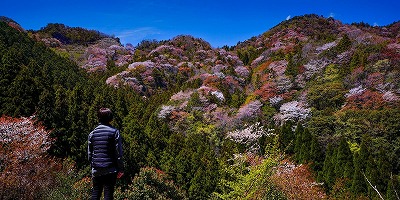 三重県多気郡の旅行で訪れた観光名所、奥伊勢フォレストピア